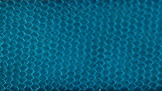 Net - Vibrant Blue (40)